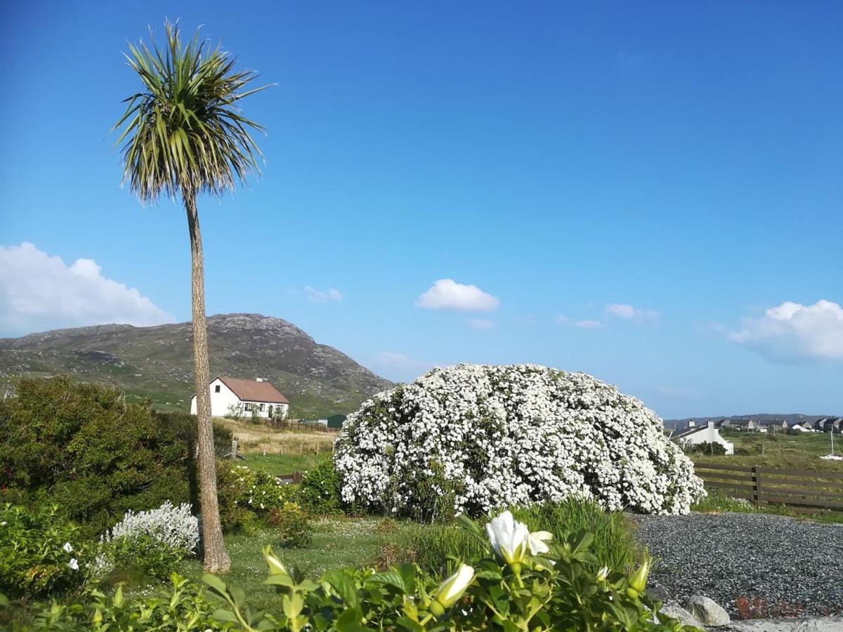 Bed and Breakfast Brae Lea House, Lochboisdale, South Uist. Outer Hebrides Exterior foto